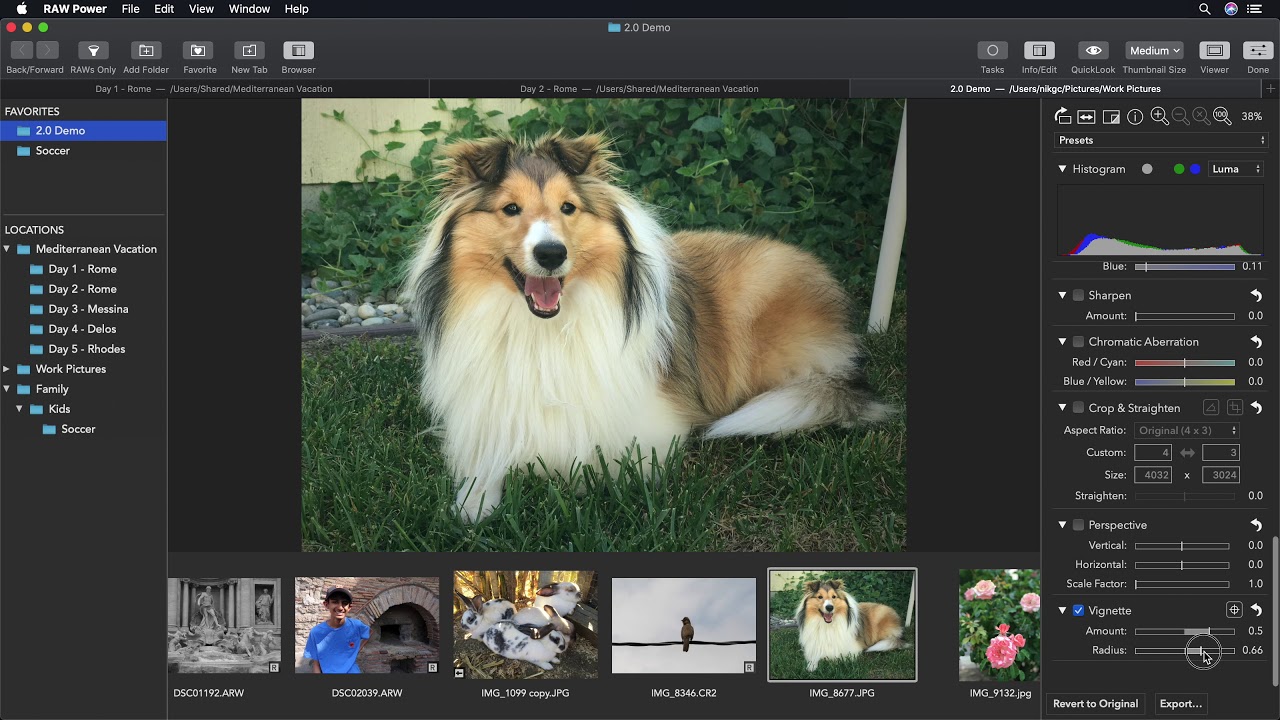 photo editor for mac dog logo